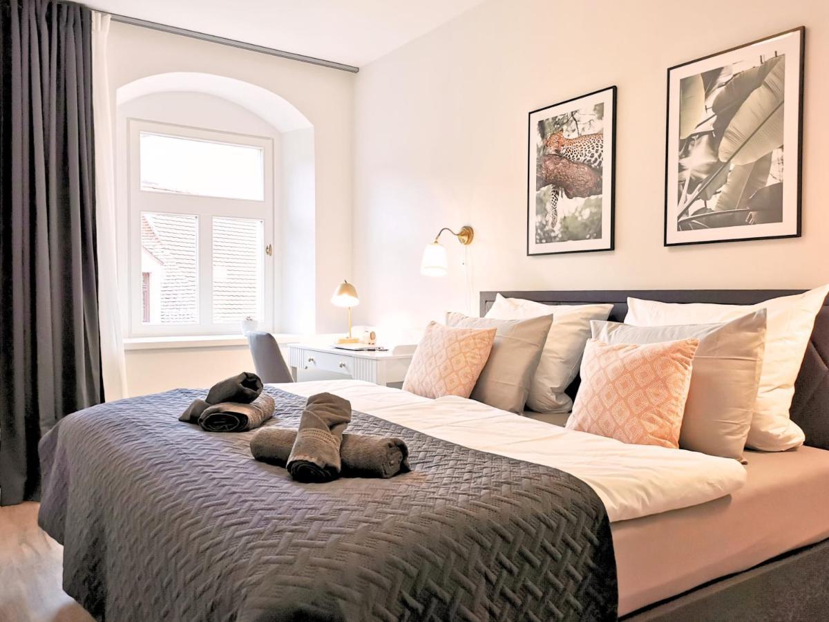 Fynbos Apartments Deluxe, Balkon, Historisch, Parkplatz Meißen المظهر الخارجي الصورة