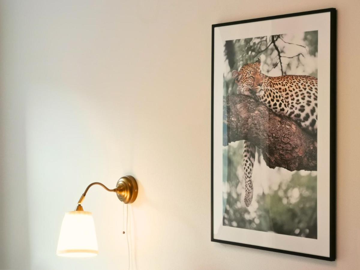 Fynbos Apartments Deluxe, Balkon, Historisch, Parkplatz Meißen المظهر الخارجي الصورة
