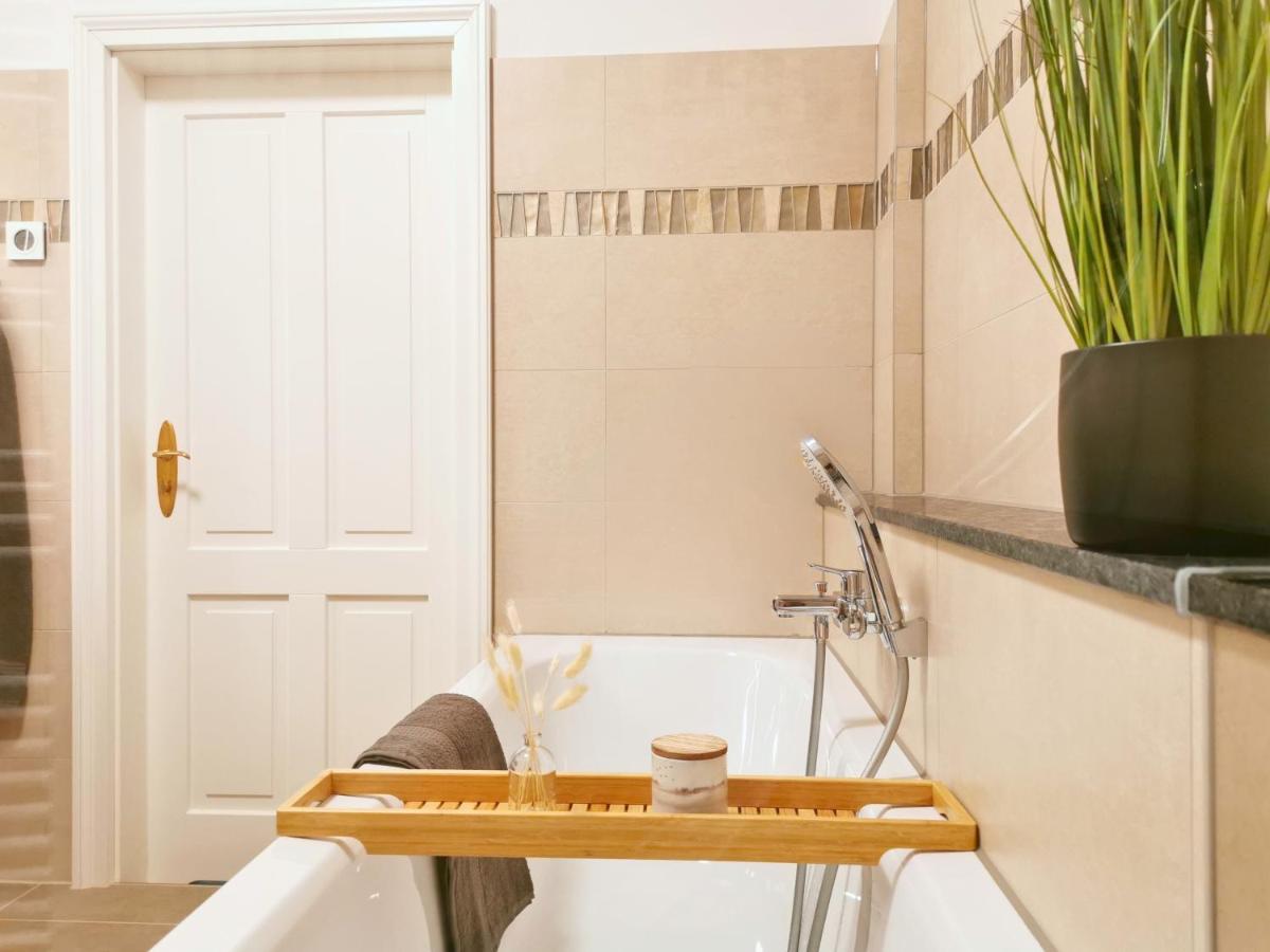 Fynbos Apartments Deluxe, Balkon, Historisch, Parkplatz Meißen المظهر الخارجي الصورة
